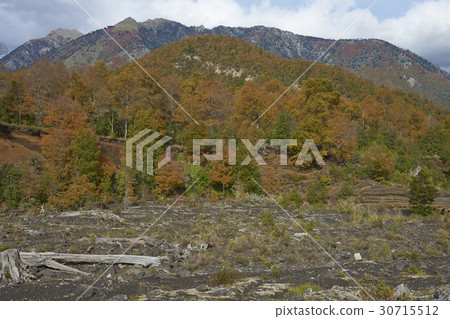 Autumn in Conguillio National Park, Chile Autumn in Conguillio National Park, Chile 30715512