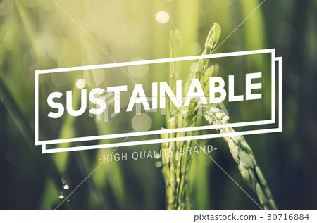 Alternative Farming Sustainable Nature Concept Alternative Farming Sustainable Nature Concept 30716884