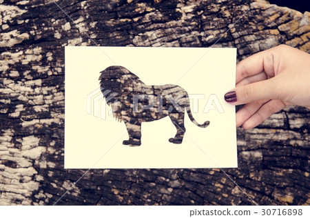 Hand Hold Lion Paper Carving with Wooden Background Hand Hold Lion Paper Carving with Wooden Background 30716898