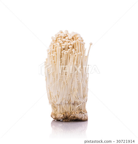 White fresh enoki mushroom. Studio shot isolated on white White fresh enoki mushroom. Studio shot isolated on white 30721914
