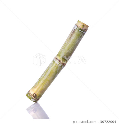 Fresh sugar cane. Studio shot isolated on white 30722004