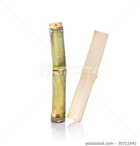 Fresh sugar cane. Studio shot isolated on white Fresh sugar cane. Studio shot isolated on white 30722042
