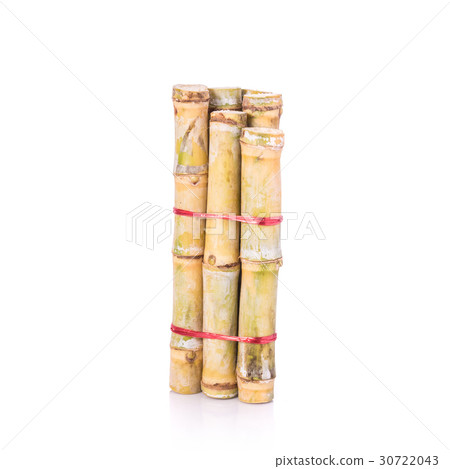 Fresh sugar cane. Studio shot isolated on white Fresh sugar cane. Studio shot isolated on white 30722043