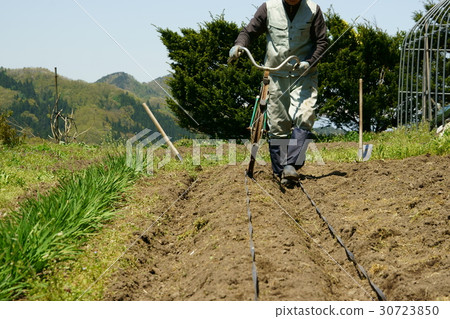種植地點標記〜自行車重複使用〜 種植地點標記〜自行車重複使用〜 30723850