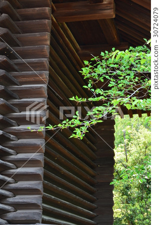 春天的Toshodaiji寺的建設 30724079