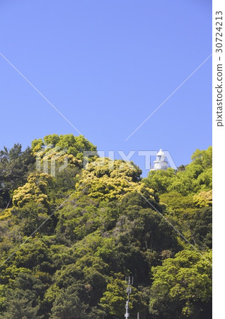 Aozora · Tree · Kochi Lighthouse (Keihin / Kochi Prefecture Kochi City Urata) 30724213