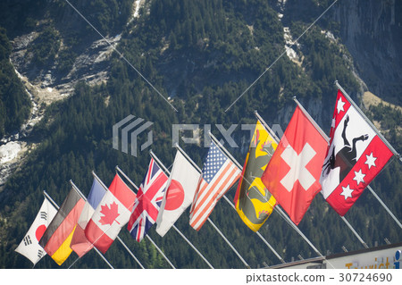 瑞士國旗 瑞士國旗 30724690