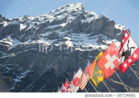 瑞士國旗 30724691