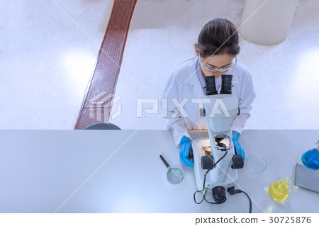 Scientist working with microscope in laboratory 30725876