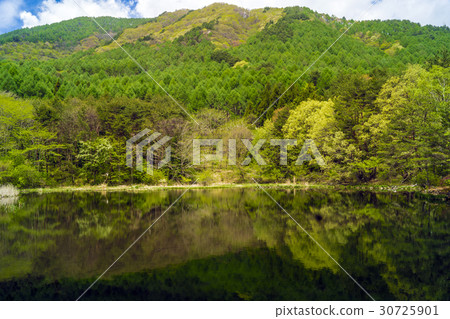 Shinshu·長野縣長野町Mikahara高原的夜間池塘 Shinshu·長野縣長野町Mikahara高原的夜間池塘 30725901