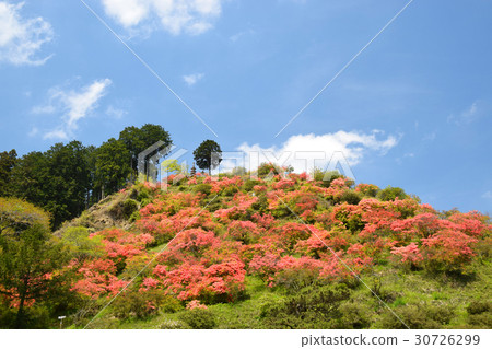 Awano Castle Ruins 30726299