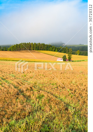 "Hokkaido" Biei · countryside in the morning "Hokkaido" Biei · countryside in the morning 30728312