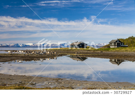 Wooden cottage on the shore of the fjord, Norway Wooden cottage on the shore of the fjord, Norway 30729927