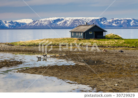 Wooden cottage on the shore of the fjord, Norway Wooden cottage on the shore of the fjord, Norway 30729929