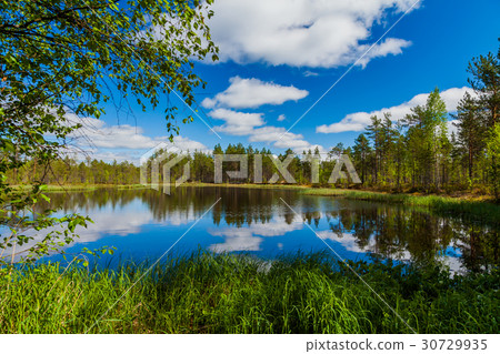 Beautiful forest lake with clouds. Finland 30729935