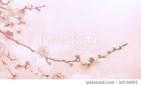 Abstract spring background 30730943