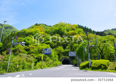 隧道穿透駝鹿新鮮綠色和Aozora Masamaru Tonnel Chichibu A 隧道穿透駝鹿新鮮綠色和Aozora Masamaru Tonnel Chichibu A 30731068
