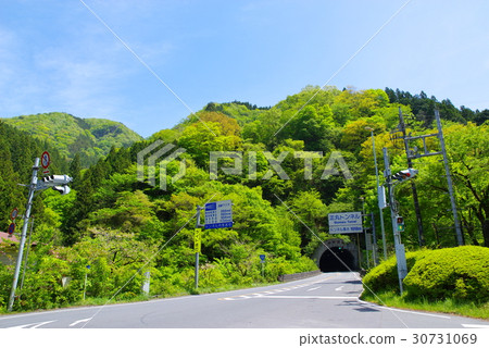 隧道穿透駝鹿新鮮的綠色和藍天Masamaru Tonnel秩父路b 隧道穿透駝鹿新鮮的綠色和藍天Masamaru Tonnel秩父路b 30731069