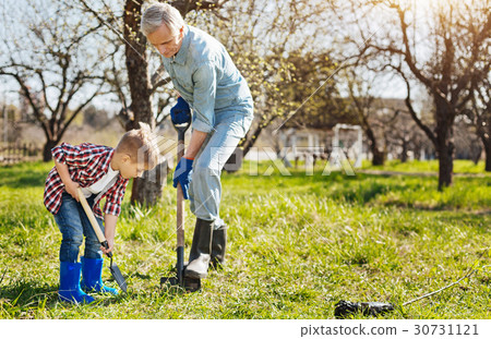 Grandfather and child planting tree together Grandfather and child planting tree together 30731121