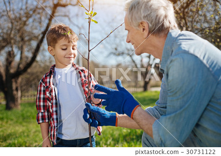 Close up of grandad and grandkid setting fruit Close up of grandad and grandkid setting fruit 30731122