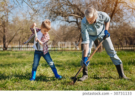 Team of two male family members working in garden Team of two male family members working in garden 30731133