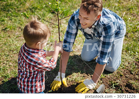 Father and son planting tree in family garden Father and son planting tree in family garden 30731226