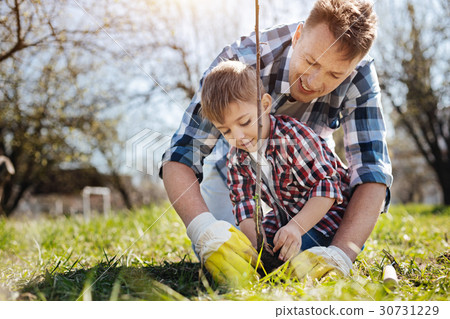 Male family members planting fruit tree 30731229