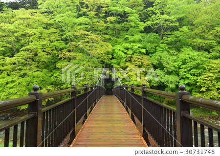 Suspension bridge of fresh green crimson 30731748