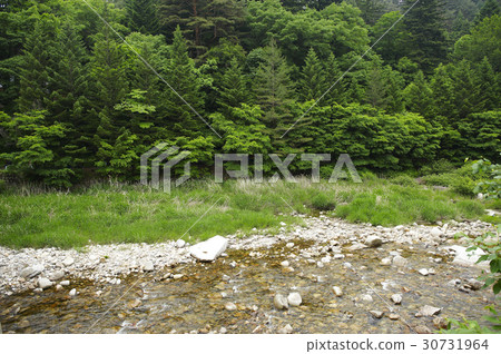 Ode Mountain, Pyeongchang County, Gangwon Province Ode Mountain, Pyeongchang County, Gangwon Province 30731964