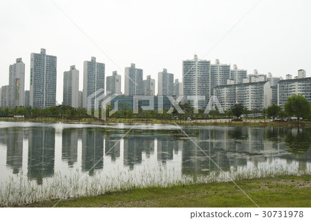 湖公園，安山，京畿道 30731978