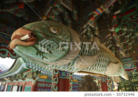 Shepherd, Woljeongsa, Odaesan, Pyeongchang, Gangwon-do 30732446