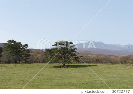 Halla Mountain, Jeju Island 30732777