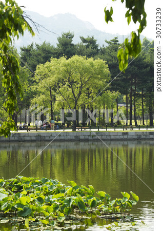 首爾鐘路區景福宮 30733239