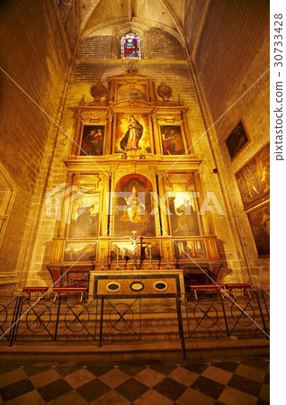 塞維利亞大教堂，塞維利亞，安大路西亞，西班牙 30733428