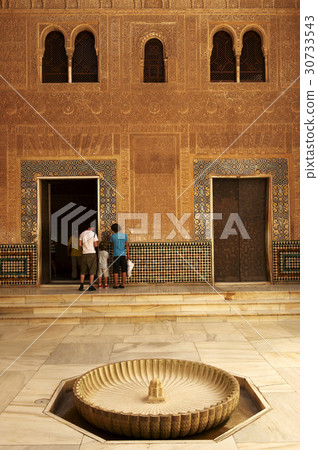 Alhambra Palace, Granada, Andalucia, Spain Alhambra Palace, Granada, Andalucia, Spain 30733543