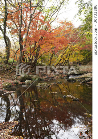 Gonhang-gun，Jeonbuk 30733896