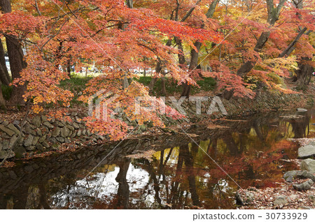 Gonhang-gun，Jeonbuk 30733929