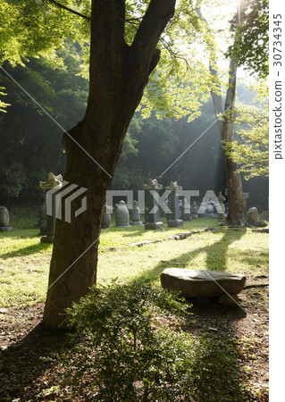 Busan, Jinsaek, Busan, Jeongeup, Jeonbuk Busan, Jinsaek, Busan, Jeongeup, Jeonbuk 30734345