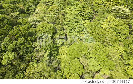 Busan, Jeongeup, Jeonbuk Busan, Jeongeup, Jeonbuk 30734347