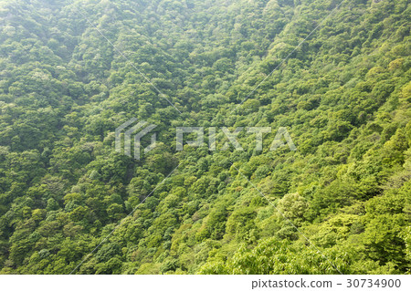 Busan, Jeongeup, Jeonbuk 30734900