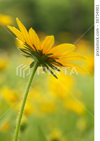 Ludvika Ludvika 30734901