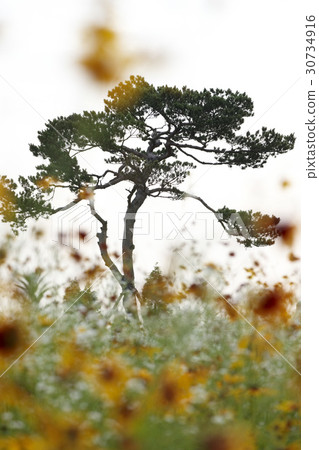 Incheon Grand Park, Namdong-gu, Incheon Incheon Grand Park, Namdong-gu, Incheon 30734916