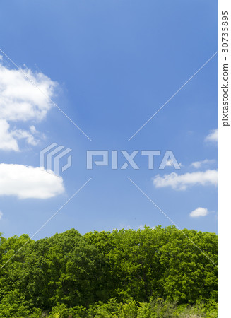 背景材料新綠色和藍天 30735895