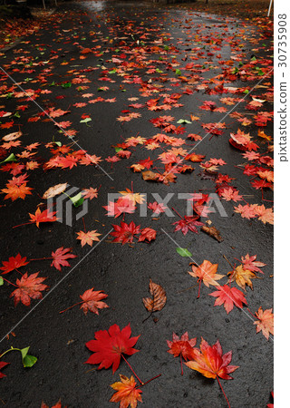 彩色垃圾 30735908