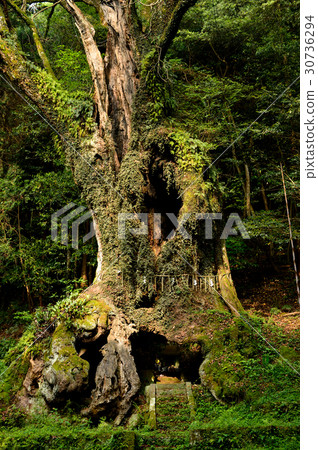 Takeo's Okusu bathes in the morning sun Saga Prefecture 30736294