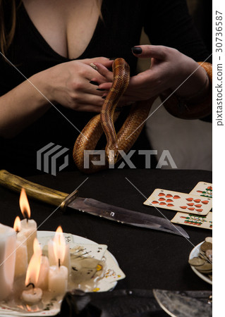 foreteller performs a ritual for money I use snake foreteller performs a ritual for money I use snake 30736587