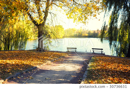 Lake in the park with benches 30736631