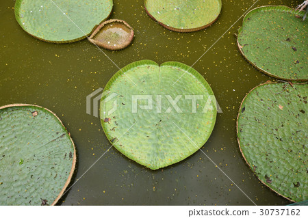 俄亥俄州獎金 俄亥俄州獎金 30737162