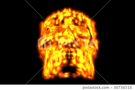 Skull looks up in colorful fire. Demonic sight Skull looks up in colorful fire. Demonic sight 30738318