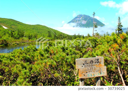 Rausu Lake Three Swamps 30739025